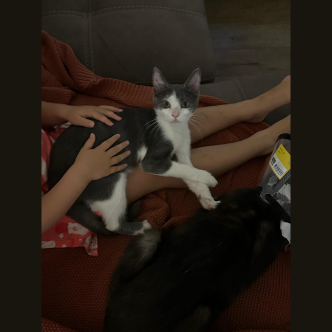 Photo of Billie Jean