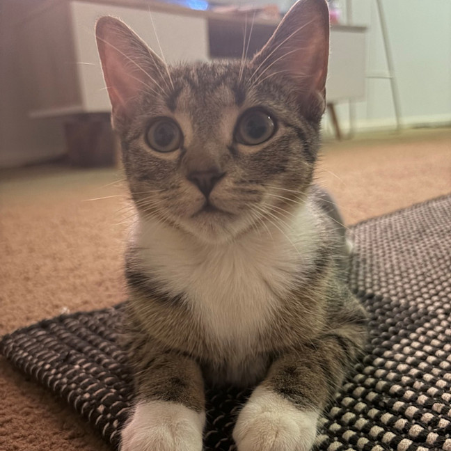 Photo of Andi