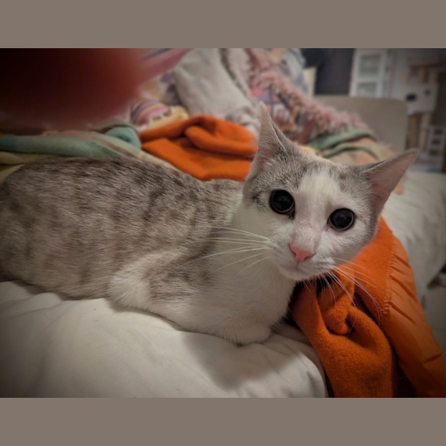 Photo of Benito