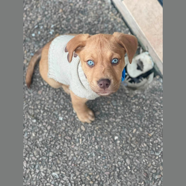 Photo of Hazel
