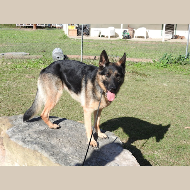 Photo of Bessy