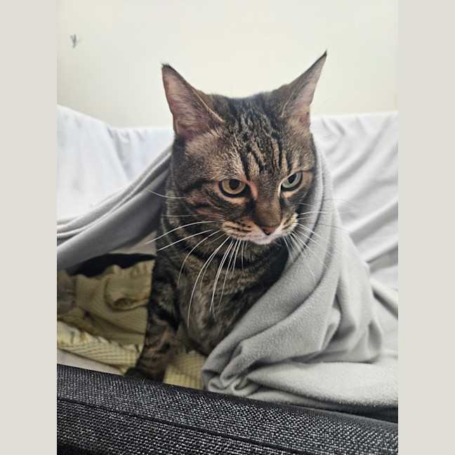 Photo of Macey
