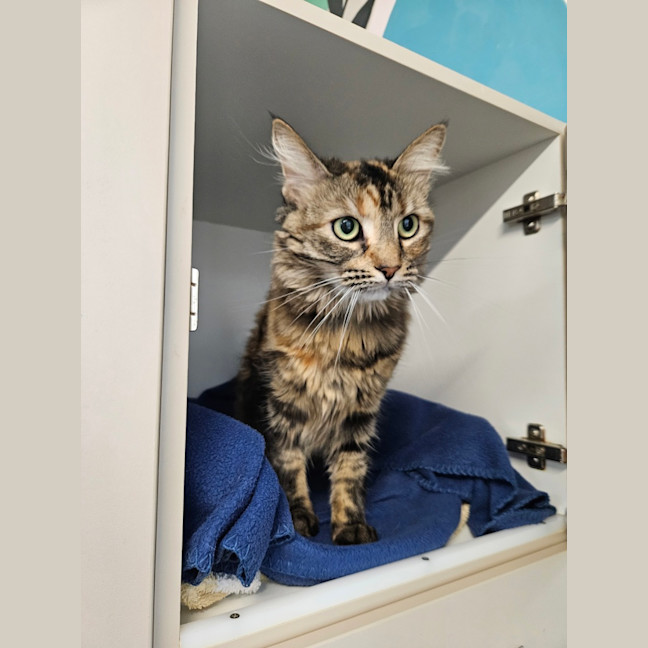 Photo of Gigi