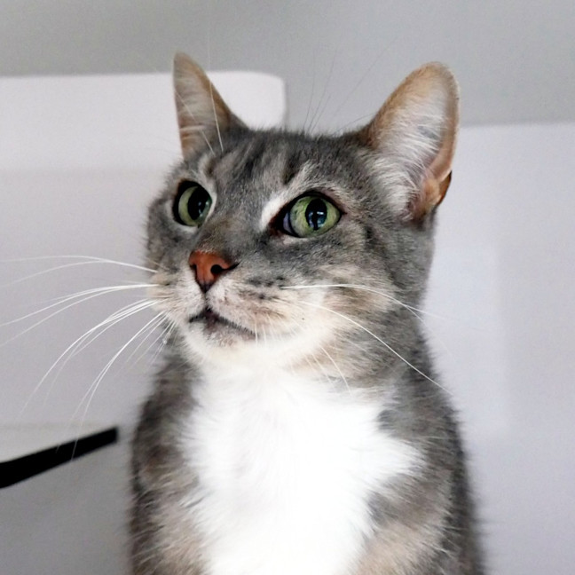 Photo of Maddern Sta014685