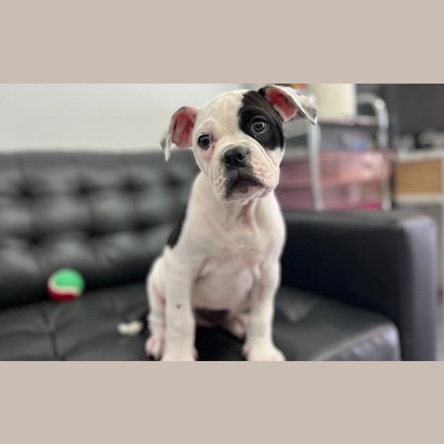 Photo of Matilda