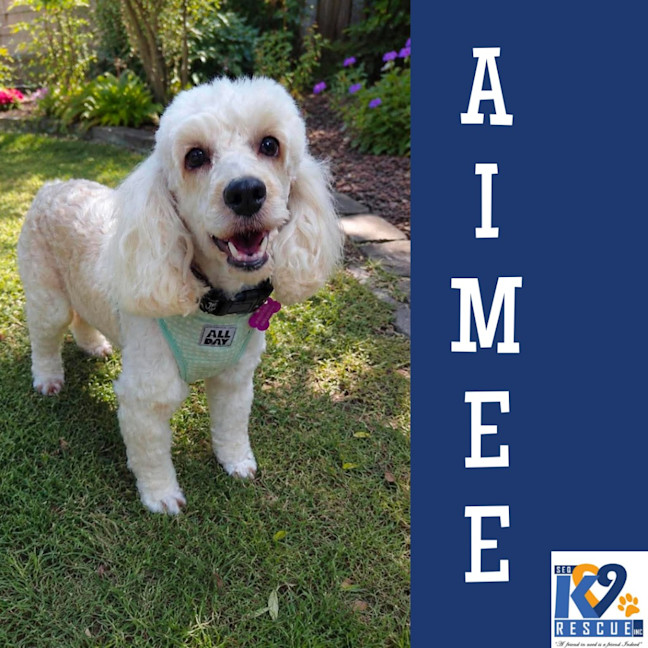 Photo of Aimee