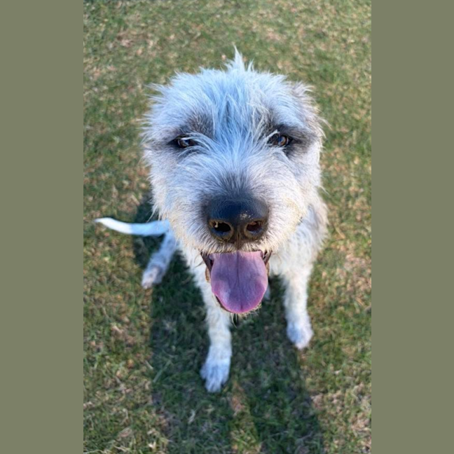 Photo of Winston 