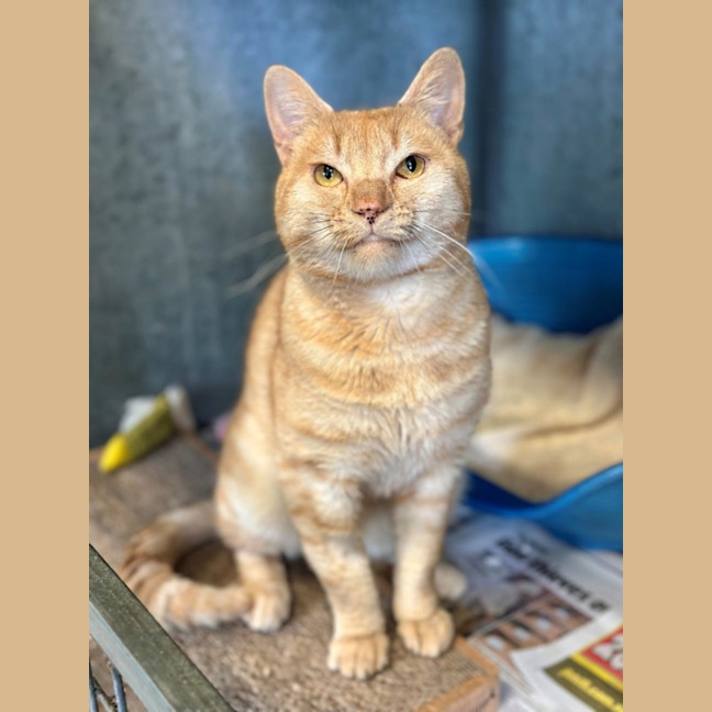 Photo of Ernie