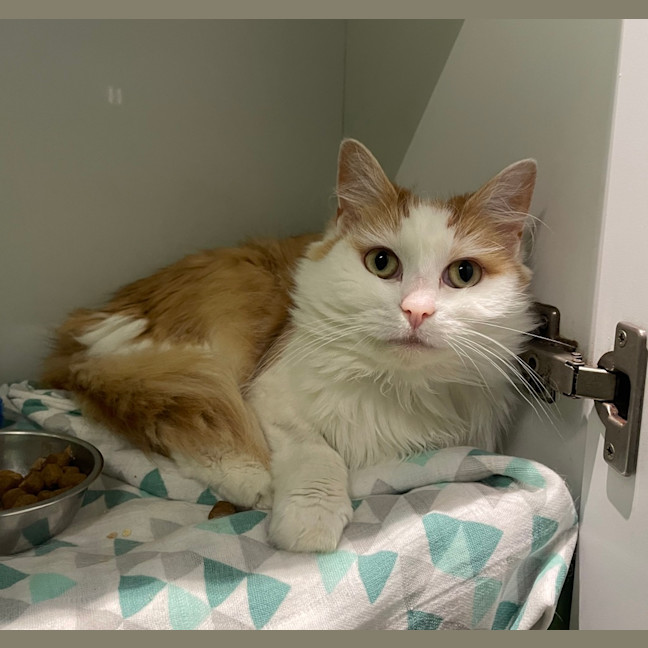 Photo of Kiki