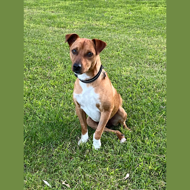 Photo of Diggie Smalls