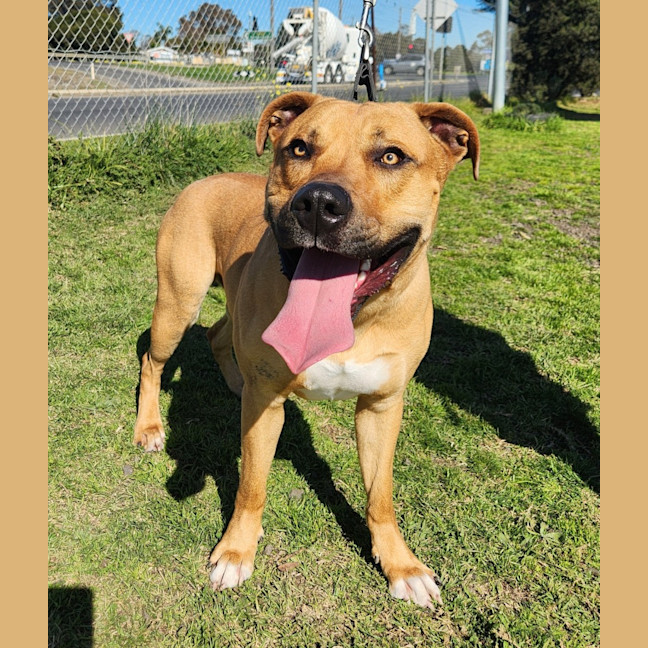 Photo of Ali (66821)