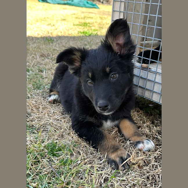 Photo of Misty