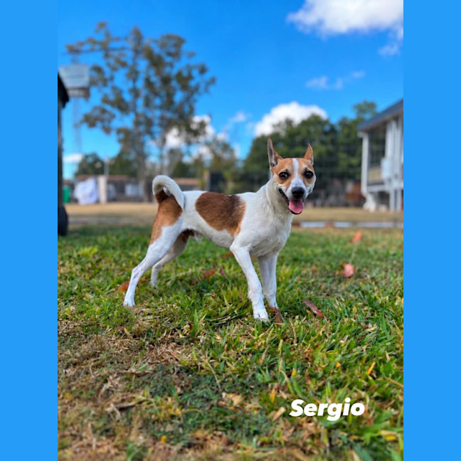 Photo of Sergio
