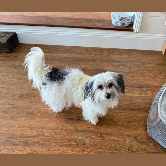 Photo of Hazel