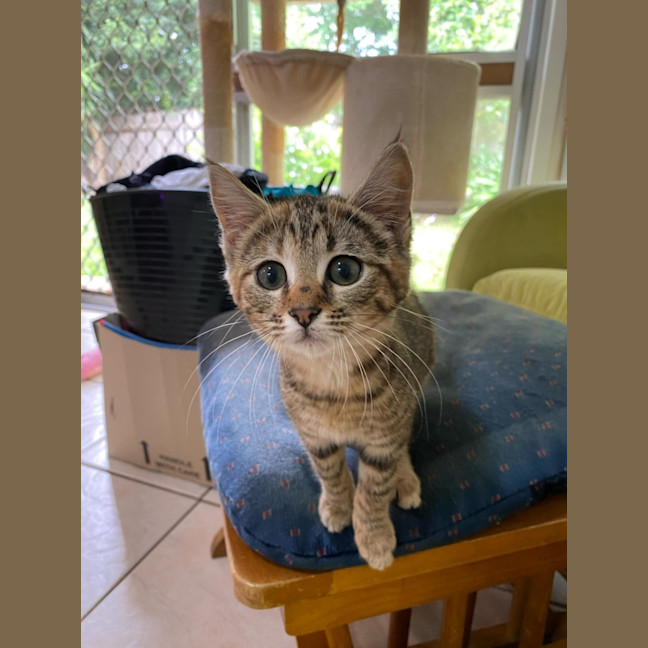 Photo of Melody 