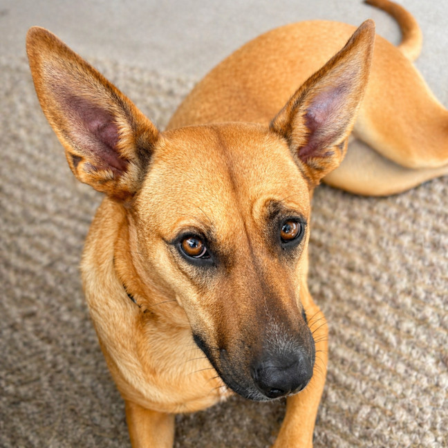 Photo of Candy