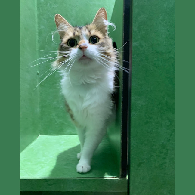 Photo of Rosie
