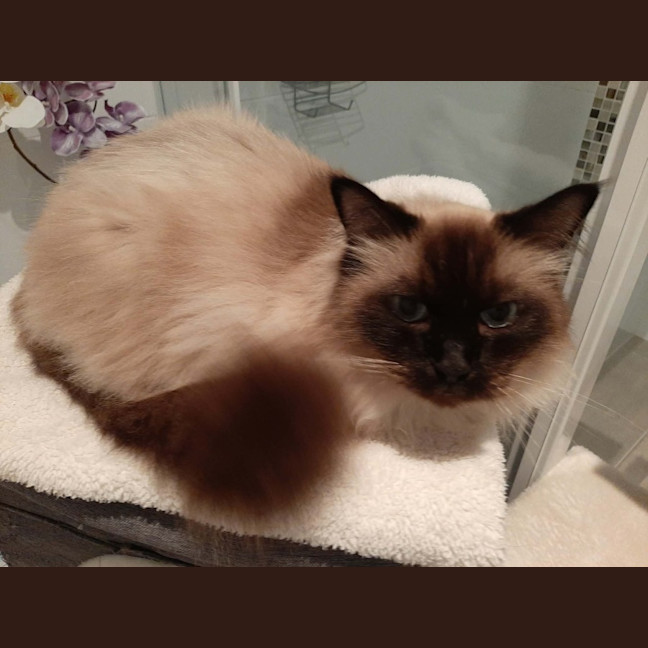 Photo of Oliver