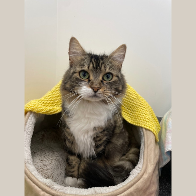 Photo of Apollo And Odette