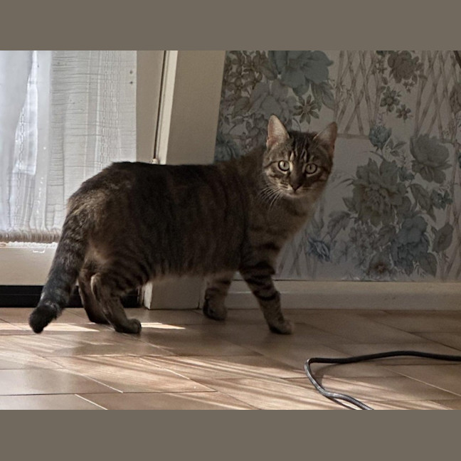 Photo of Aster Uffelman