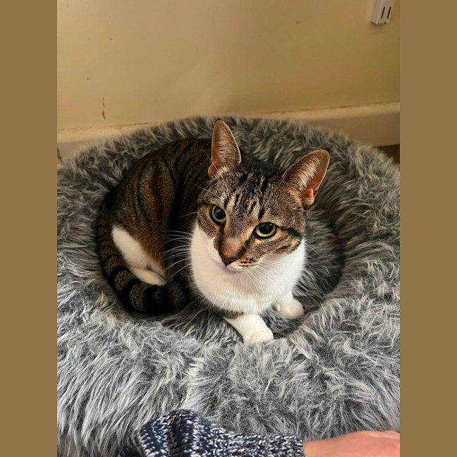 Photo of Winnie