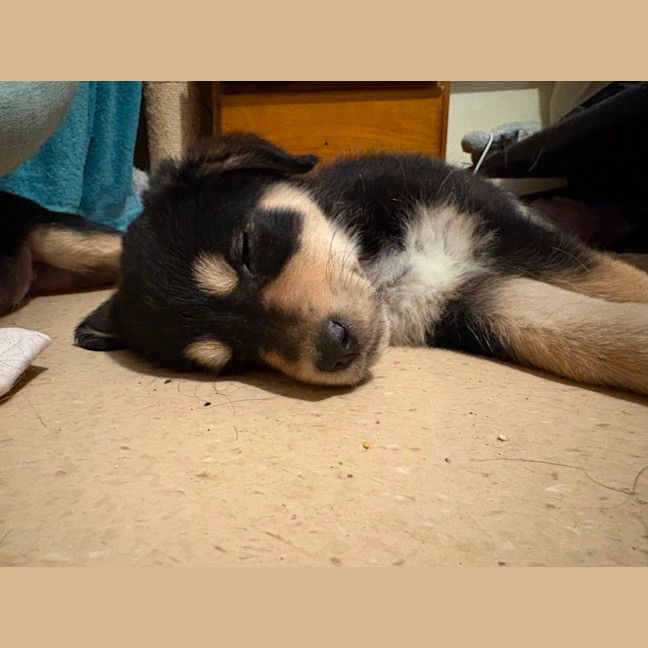 Photo of Zara