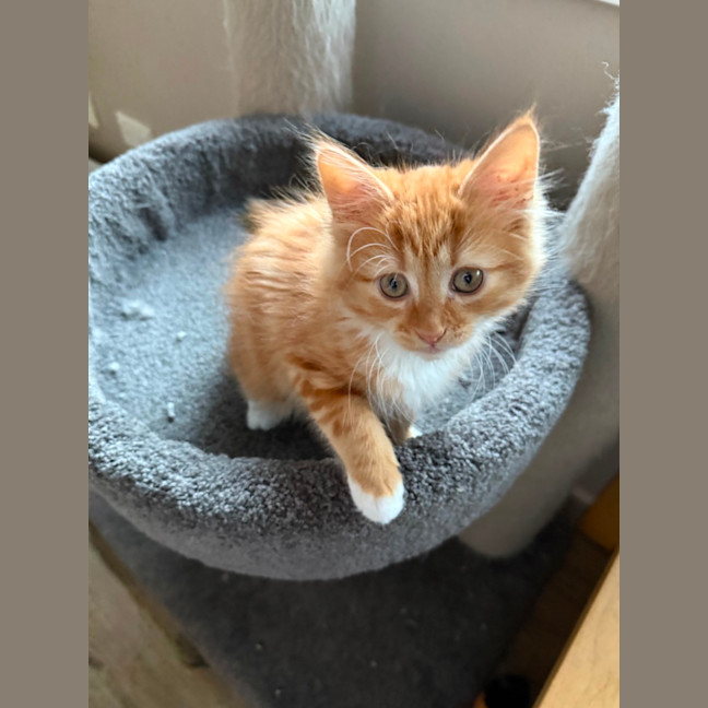 Photo of Poppy