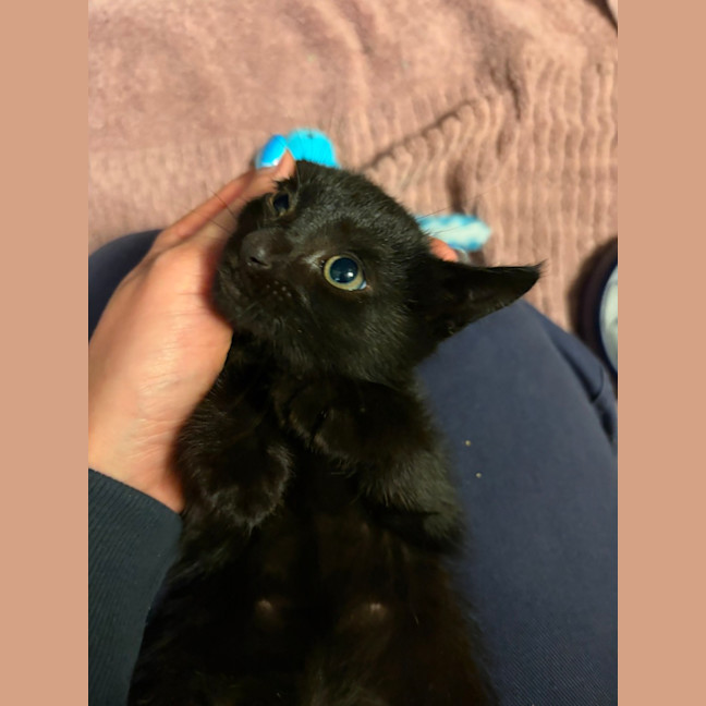 Photo of Mr Nimbus