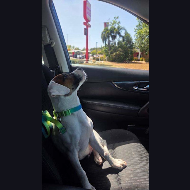 Photo of Asher