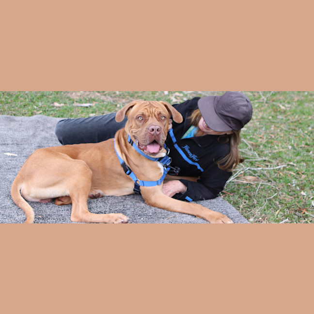 Photo of Zeke