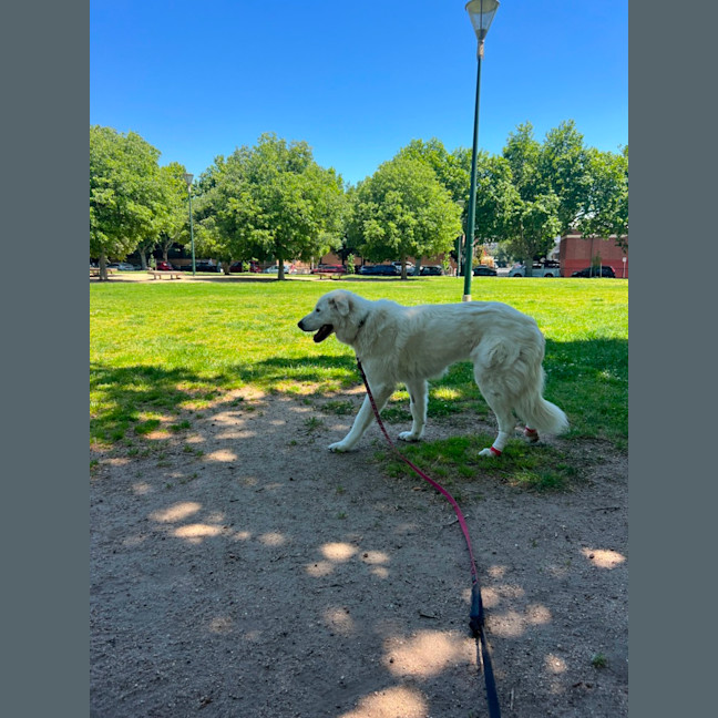 Photo of Lucy