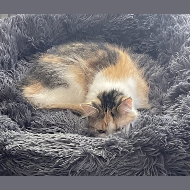 Photo of Kumi