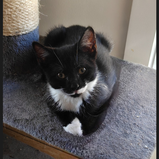 Photo of Rocket 🚀