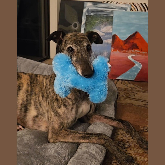 Photo of Nora