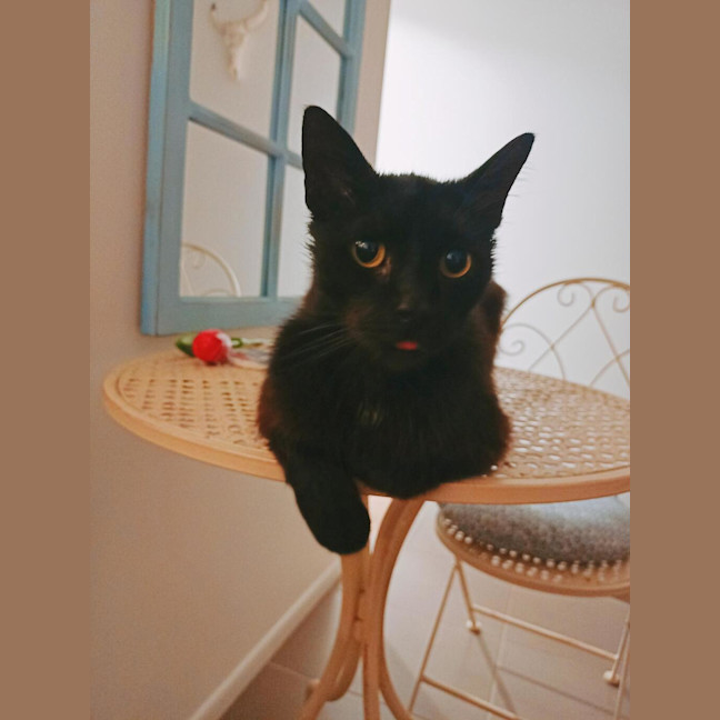 Photo of Sammy