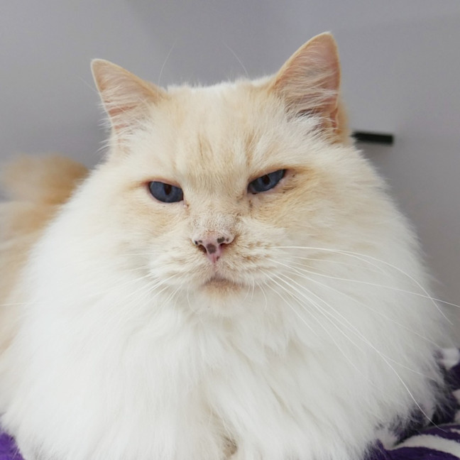 Photo of Wayne Rsua013802