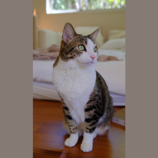 Photo of Lily