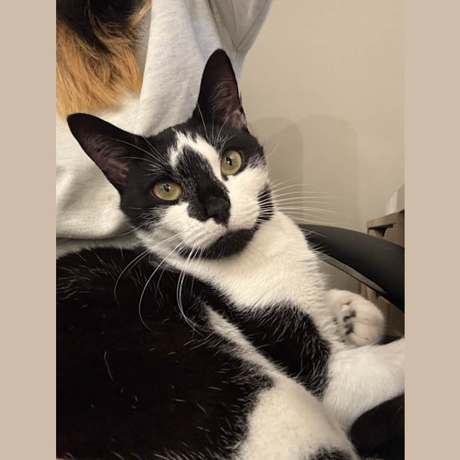 Photo of Lotti