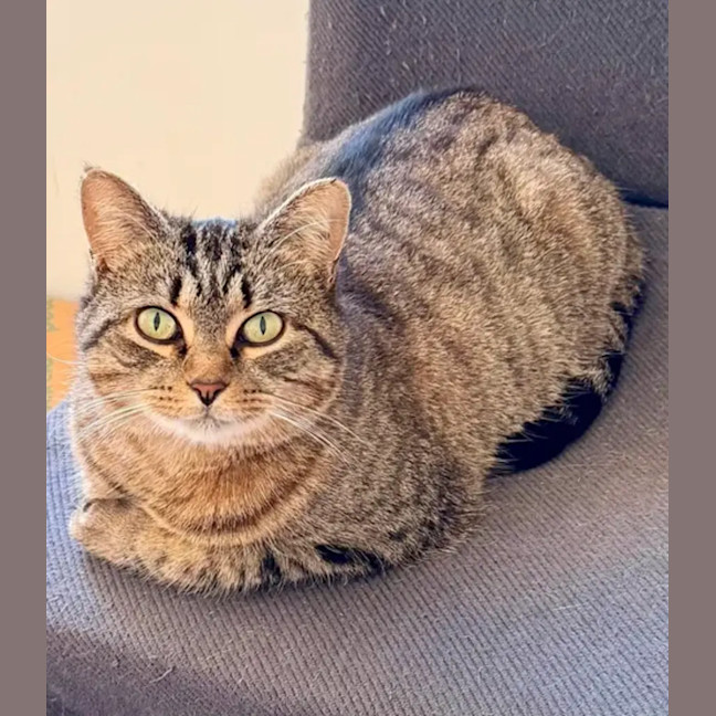 Photo of Matilda