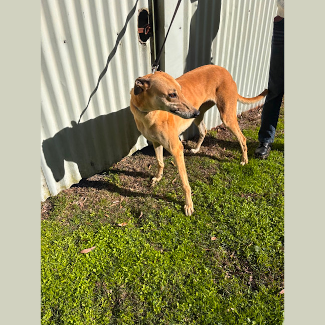 Photo of Sandy Girl 