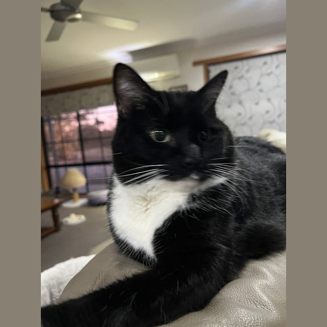 Photo of Nikita Aka Nikki