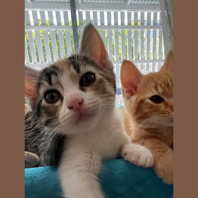 Photo of Kiki   Penelope