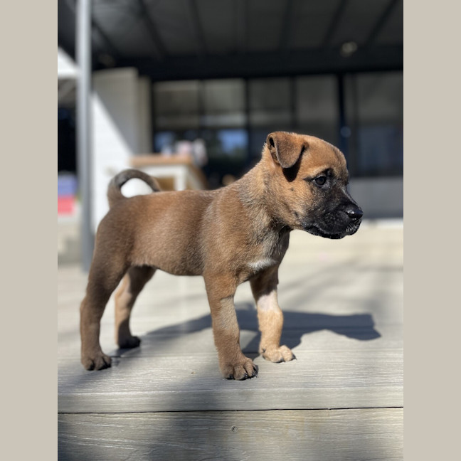 Photo of Luna