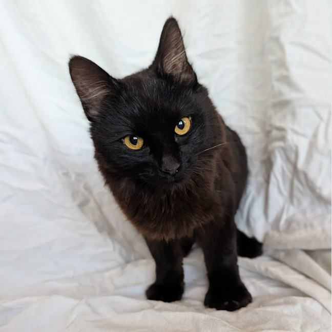 Photo of Mimi