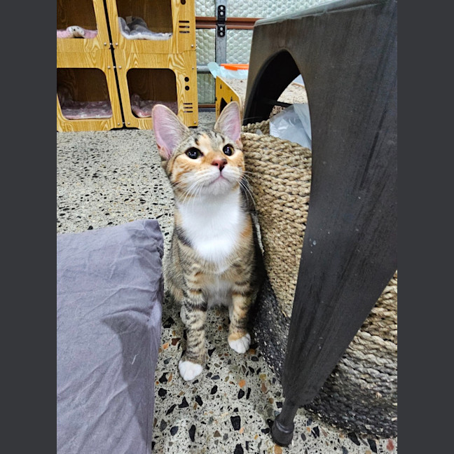 Photo of Pretty Girl