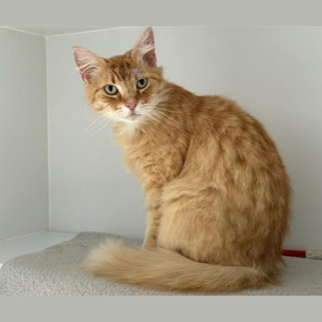 Photo of Wally