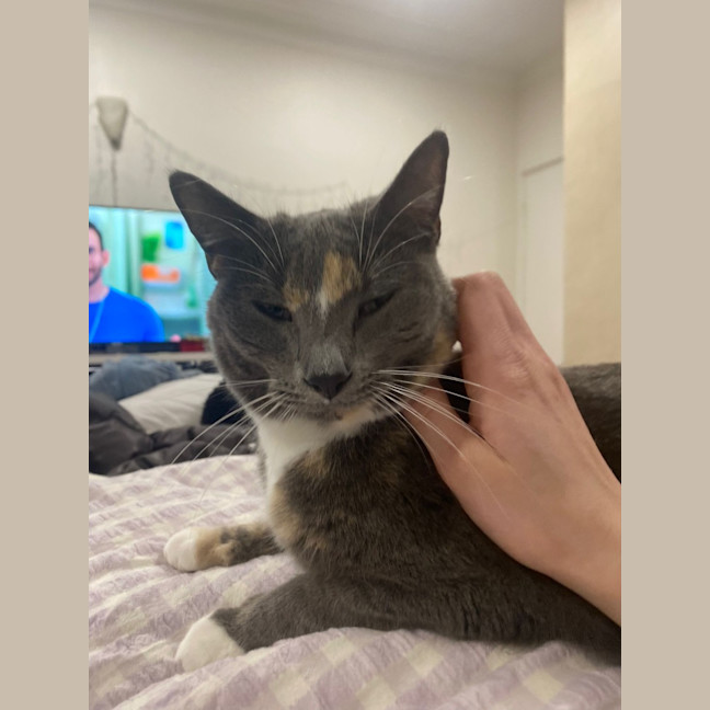 Photo of Pippa