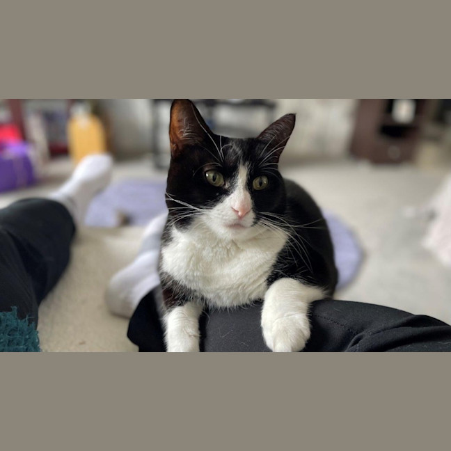 Photo of Penelope Babbington