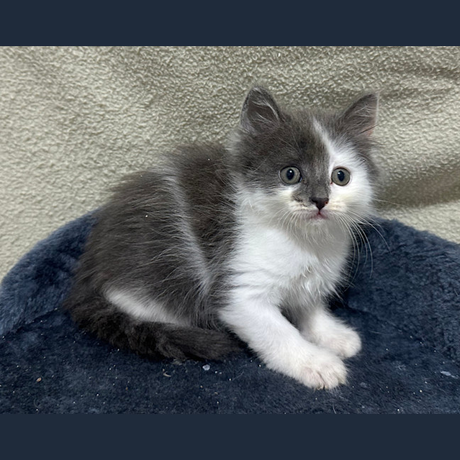 Photo of Maeve 