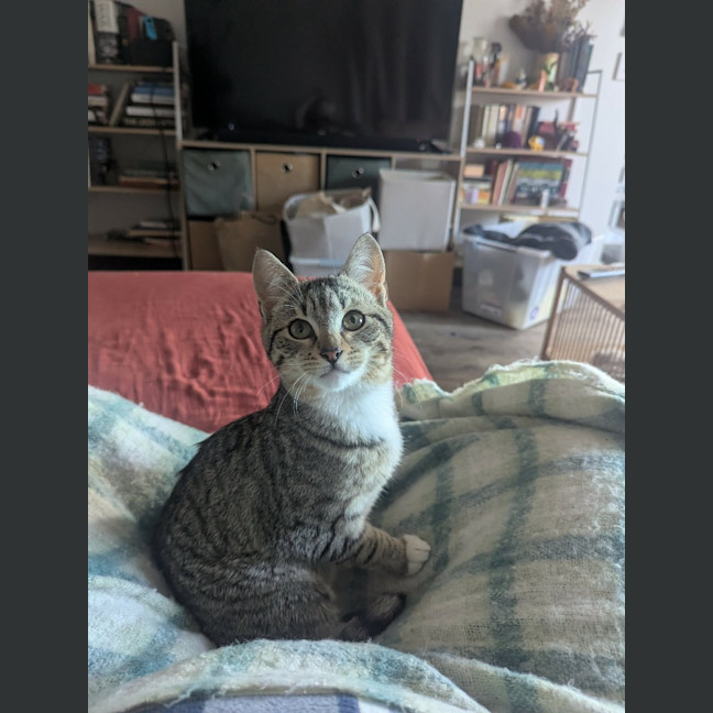 Photo of Artemis